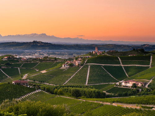 FEAST - Barbaresco