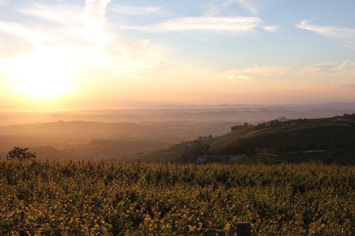 Piedmont, Cooking, Sapio 