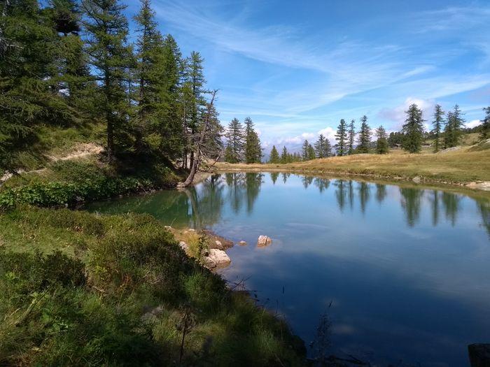 Valle Maira (Sapio) 