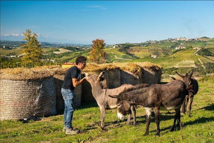 SAPIO Enrico Rivetto Serralunga d'Alba