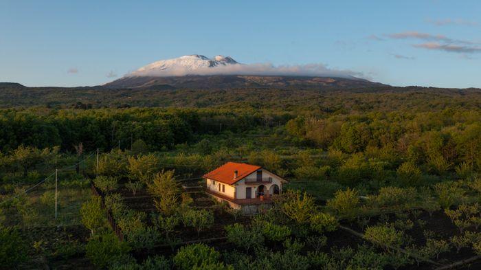 Feast Etna