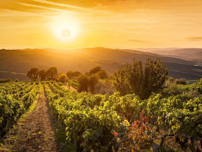 FEAST - Tuscany