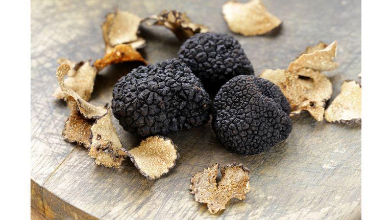 Truffles Feast Perigord